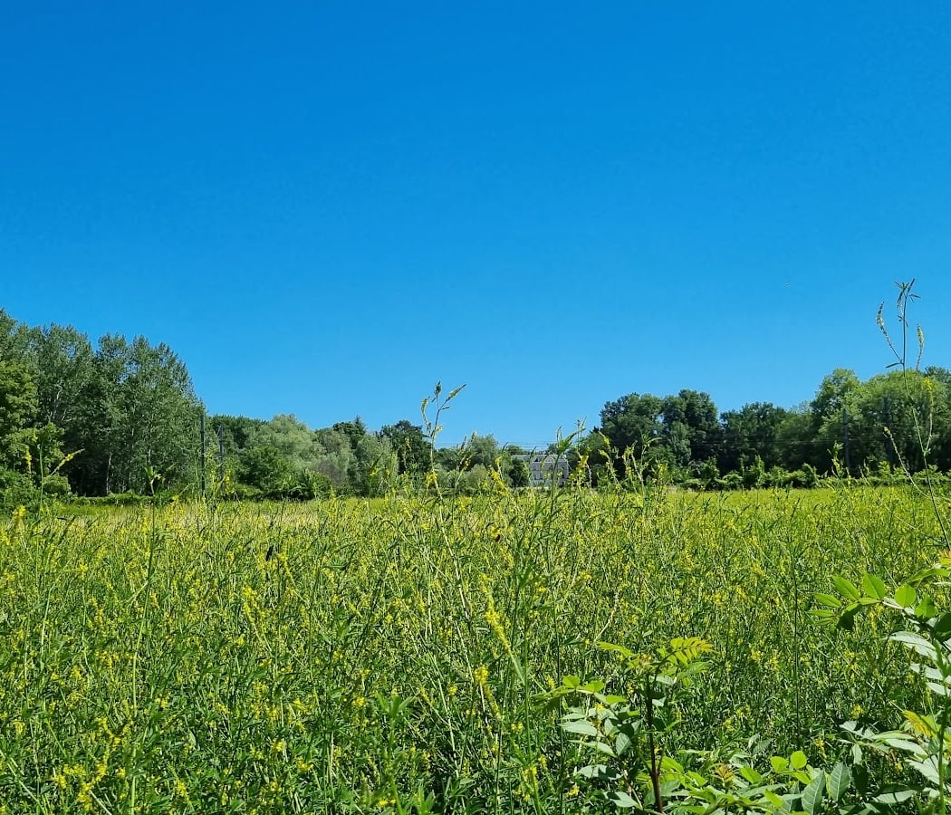 Entrée est des Marais de Fontenay 2